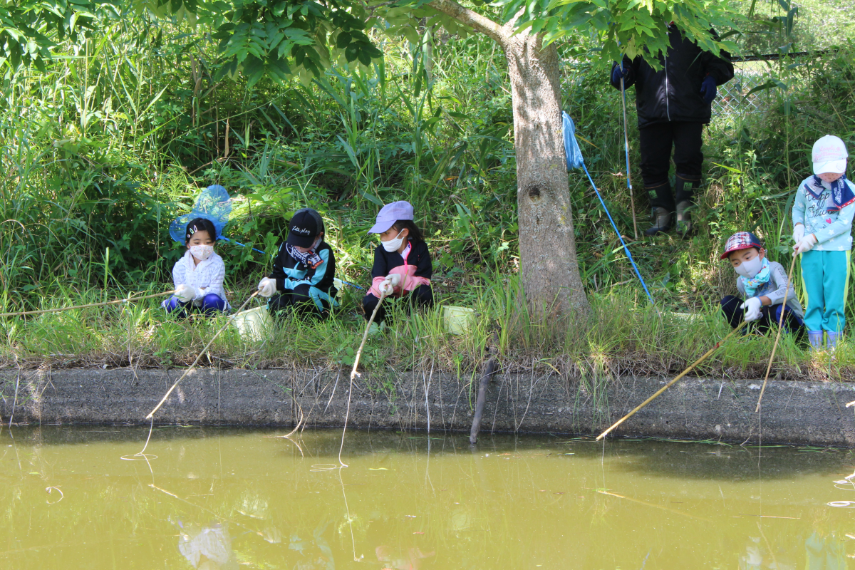 ザリガニ釣りをする小学生の様子