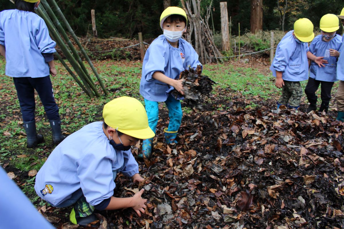 焼き芋用の落ち葉を集める5才児の様子
