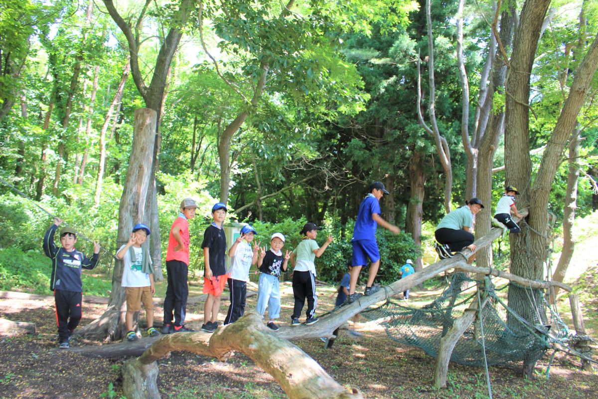 木登りを楽しむ小学生の様子